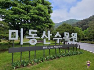 여행고수만 아는 자연 힐링 수목원 4곳 추천